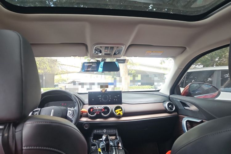 Used Wey VV5 2020 1.5T Two-Wheel Drive Color Pioneer
