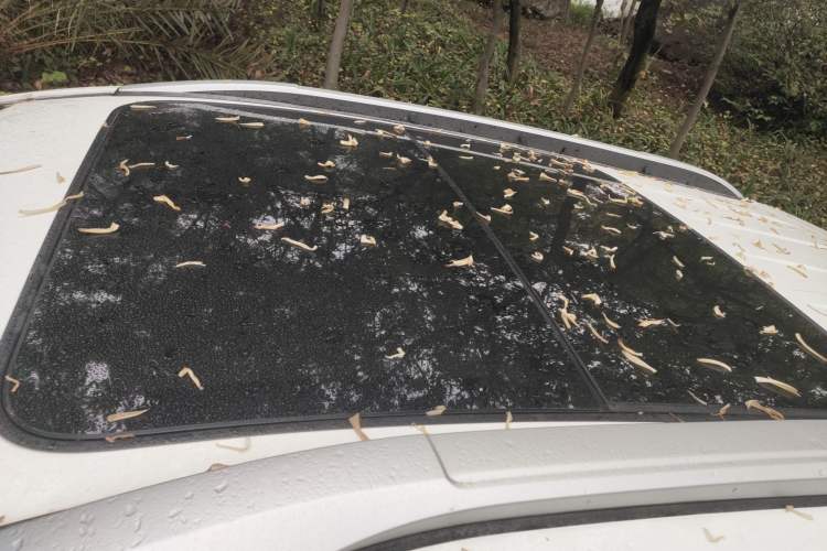 Used BYD Yuan 2016 1.5L Manual Luxury Version
