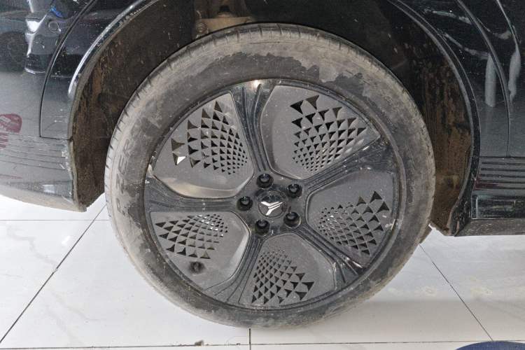 Used VOYAH COURAGE 2024 Four-Wheel Drive Global Edition