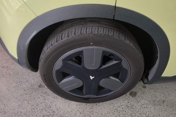 Used firefly 2025 Illuminated Edition
