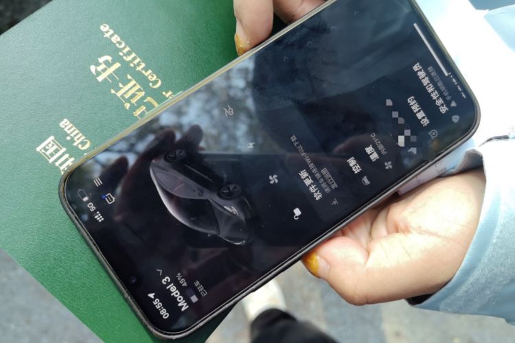 Used Tesla Model 3 2022 Rear-Wheel-Drive Version
