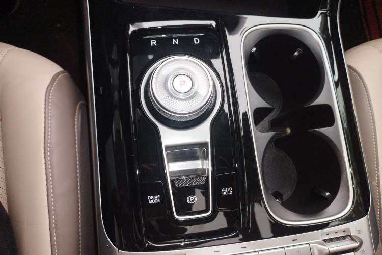 Used Kia Carnival 2021 2.0T Flagship Edition