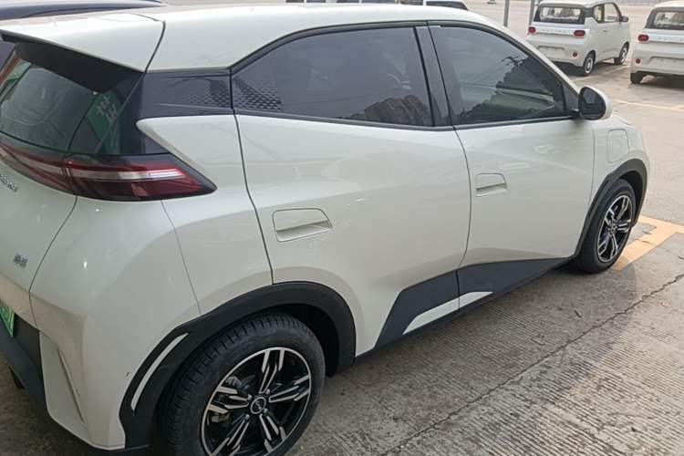 Used BYD Seagull 2024 Honor Edition 305km Dynamic Version Rear Right 45 Deg