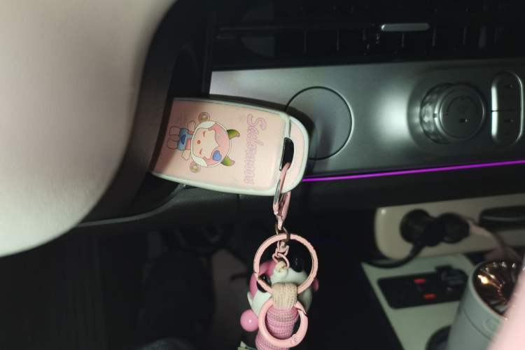 Used CHANGAN NEVO Lumin 2025 301km Honey Dew Edition