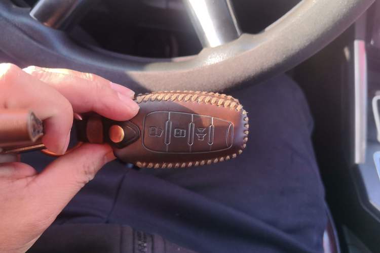 Used Great Wall Poer 2019 2.0T Commercial Version Manual Diesel 4x4 Elite Long-Box GW4D20M
