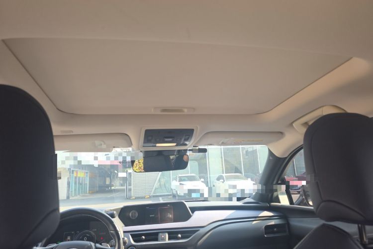 Used Lexus UX New Energy 2020 300e Pure·Enjoy Edition Headliner