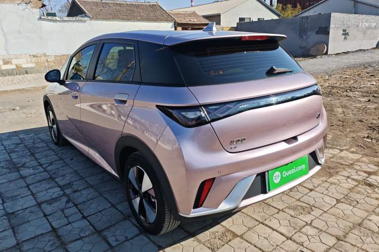 Used BYD Dolphin 2024 Honor Edition 420km Freedom Version