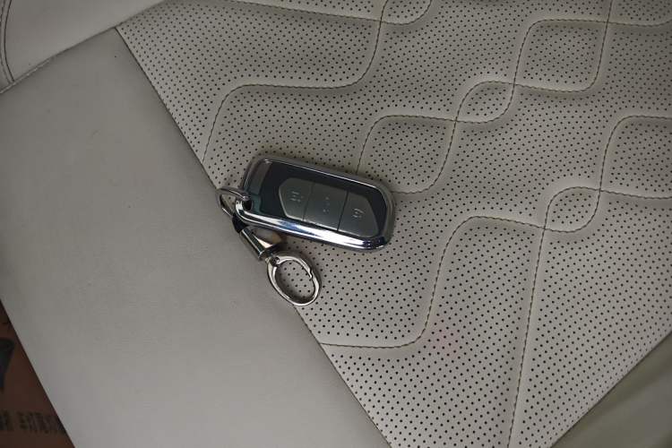 Used VOYAH FREE 2021 Four-Wheel Drive Standard Range-Extended Exclusive Luxury Package
