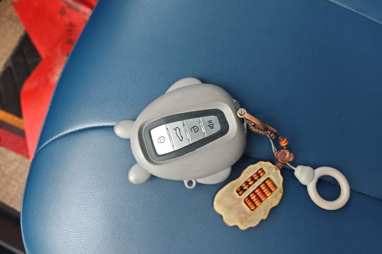 Used Geometry E Firefly 2022 320KM Cute Tiger 4-Seater Interior 1