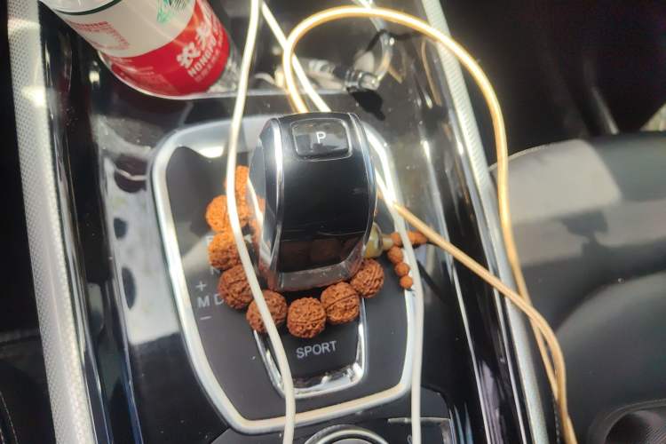 Used EXEED TX 2020 1.6T Two-Wheel Drive Star Edition Gear Lever