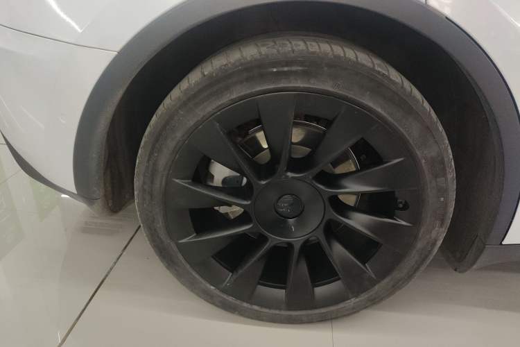 Used Tesla Model Y 2021 Standard Range Rear-Wheel Drive Version
