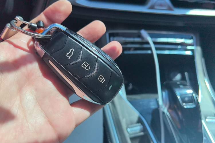 Used Landian E5 2024 Honor Edition 100KM Premium Model 7 Seats Vehicle Key