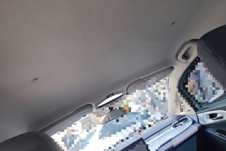 Used Geometry E Firefly 2022 320KM Cute Tiger 4-Seater