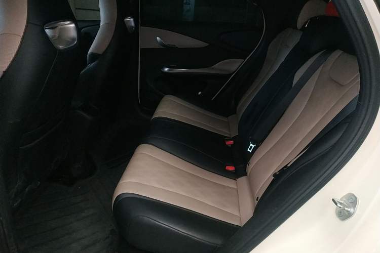 Used BYD Dolphin 2025 420km Active Version Left Rear Seat