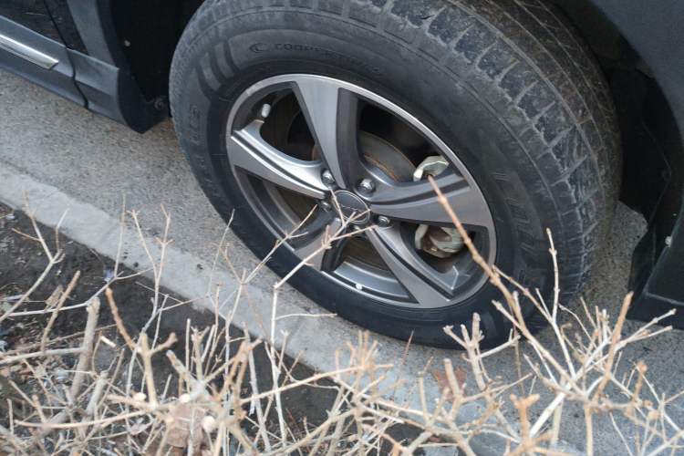 Used Haval H6 Coupe 2016 Blue Label 1.5T Automatic Two-Wheel Drive Elite Model