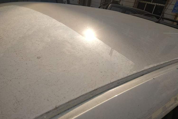 Used Nissan Navara 2017 2.5L Automatic 2WD Luxury Edition QR25
