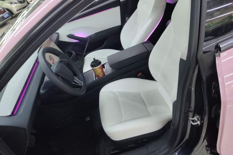 Used Tesla Model 3 2023 Rear-Wheel-Drive Version
