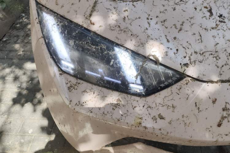 Used BYD Seagull 2023 Free Edition