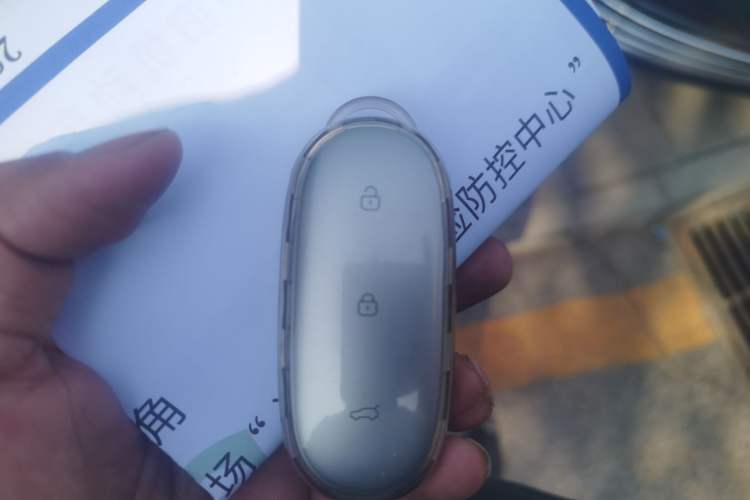 Used Li Auto L9 2022 Max model