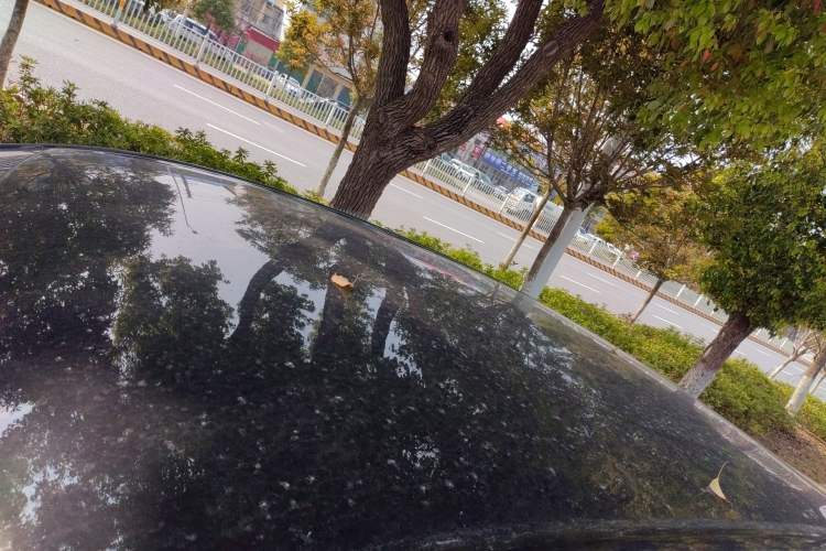 Used Wuling Bingo S 2025 Model 430km Deluxe Edition
