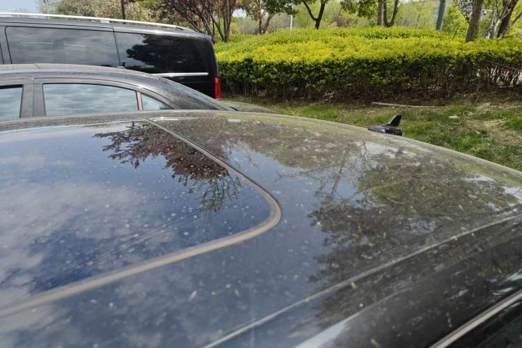 Used Audi S4 2024 S4 3.0TFSI Roof