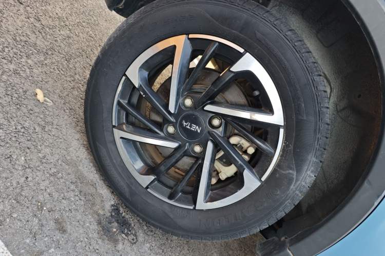 Used NETA V 2021 Standard Range Version