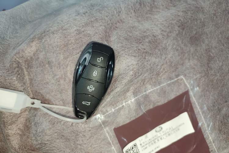 Used Hongqi H5 2025 Model 1.5T DCT Xuan Ying 2 Million Units Commemorative Edition Interior 1