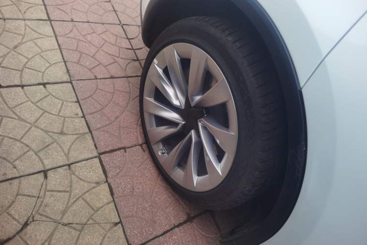 Used Tesla Model Y 2025 Long-Range All-Wheel-Drive Version
