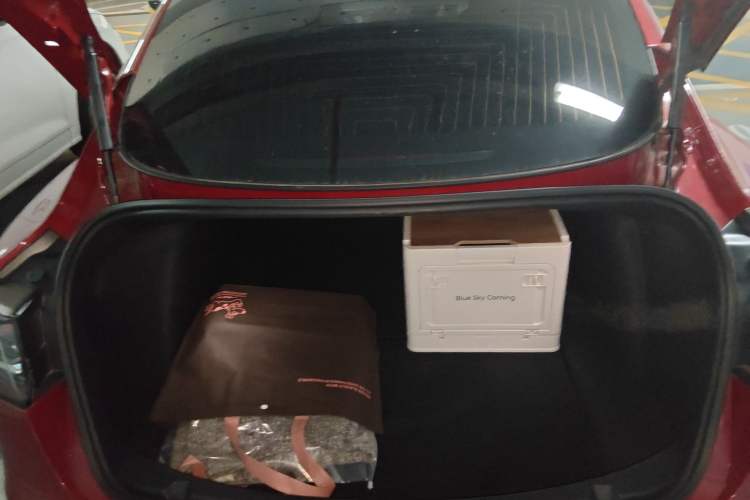 Used Tesla Model 3 2020 Revised Version Standard Range Rear-Wheel Drive – Upgraded Edition