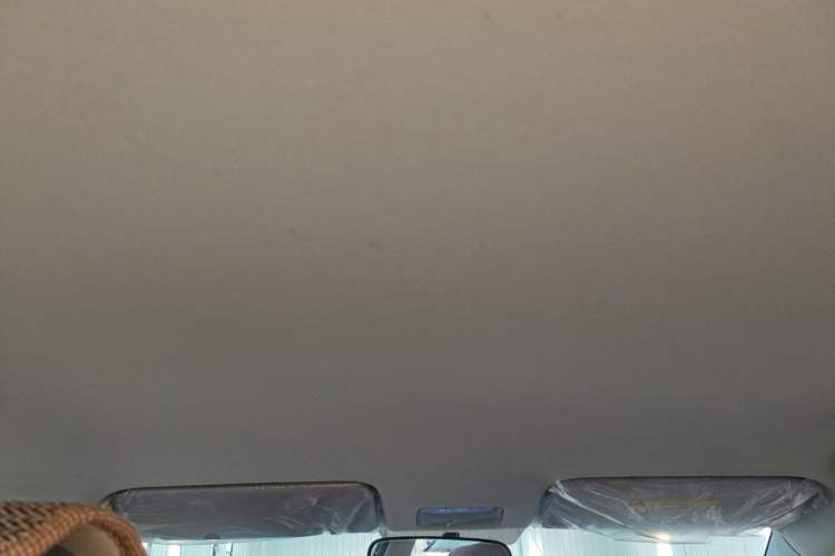 Used Kia Pegas 2017 1.4L Manual Fashion Edition Smart Headliner