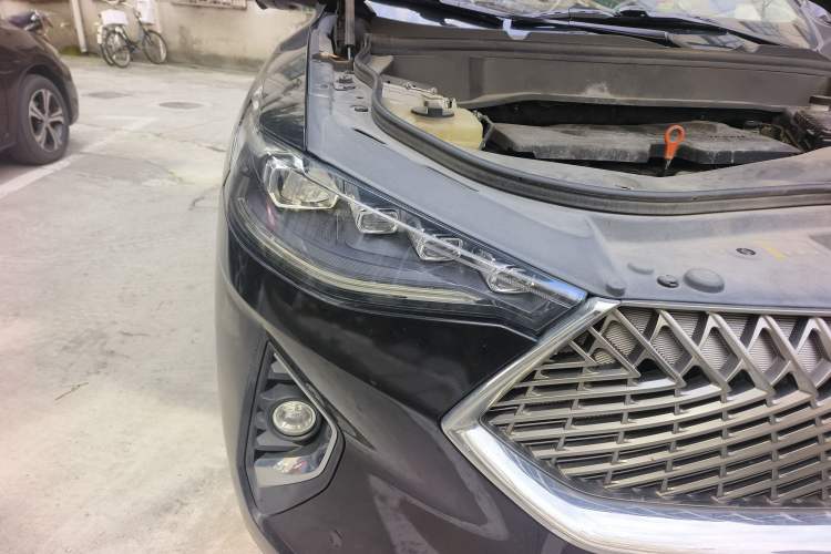 Used Haval F7 2021 1.5T Two-Wheel Drive i-Trend