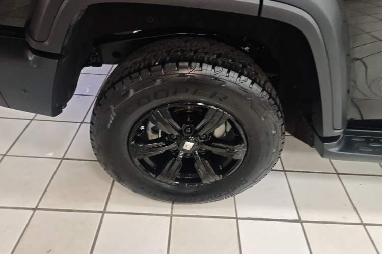 Used Tank 300 2025 2.4T Diesel Version