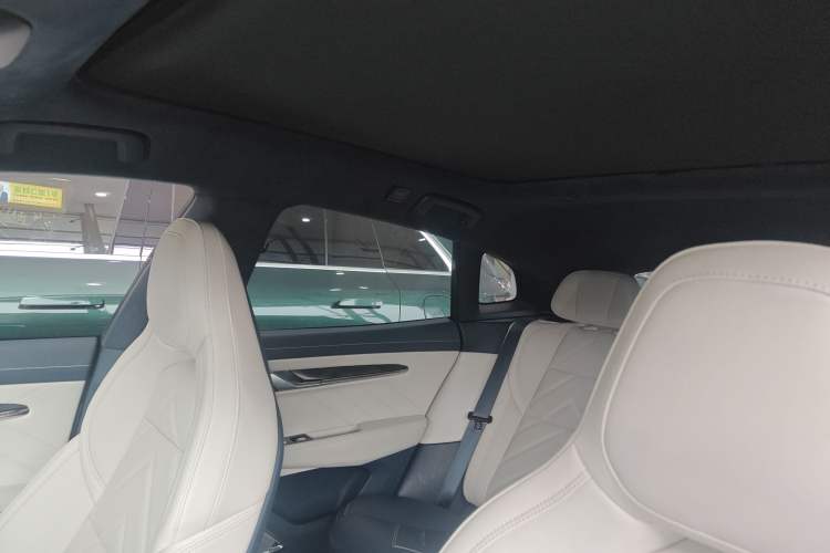 Used Zeekr 001 2021 Ultra-Long Range Single-Motor WE Edition Headliner