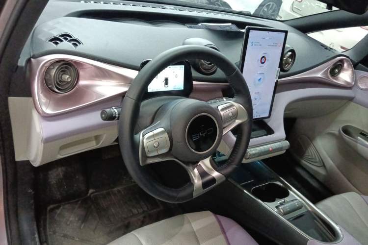 Used BYD Dolphin 2024 Honor Edition 420km Fashion Version Center Console