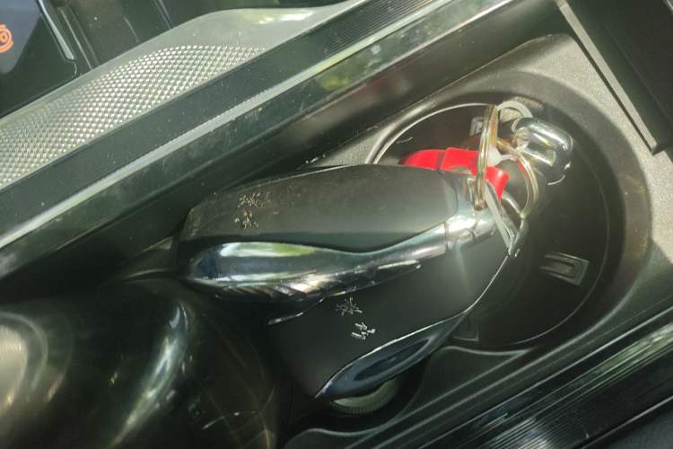 Used Hongqi H5 2024 2.0T Automatic Smart Connect Flagship Edition
