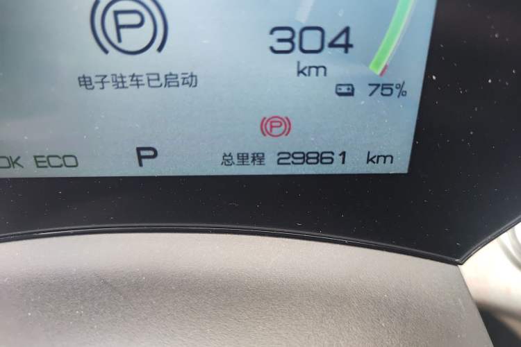 Used BYD Dolphin 2021 405 km Free Version
