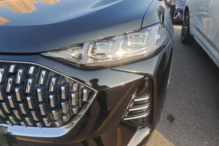 Used Wey Mocha 2021 2.0T Two-Wheel-Drive Premium Edition