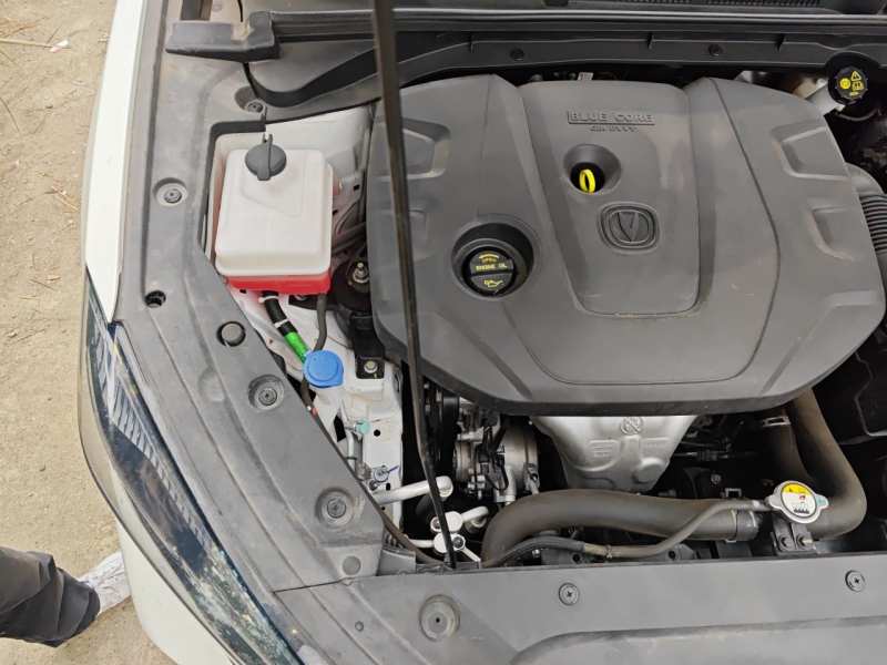 Used CHANGAN Eado 2022 PLUS 1.6L GDI Manual Luxury Model — 21