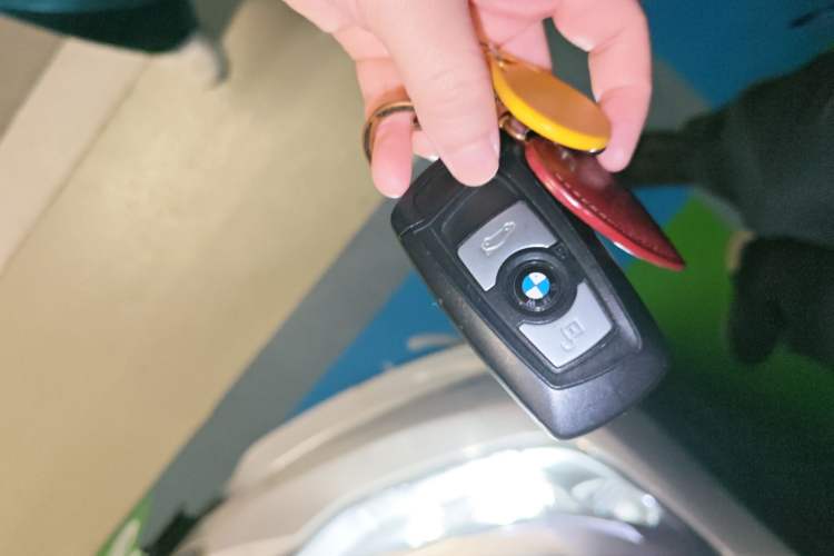 Used BMW 3 Series 2015 320Li Fashion Model
