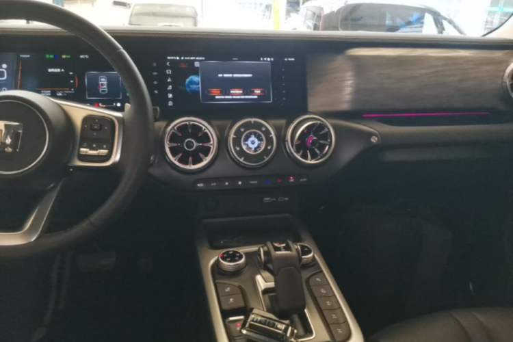 Used Tank 300 2024 2.0T Conqueror