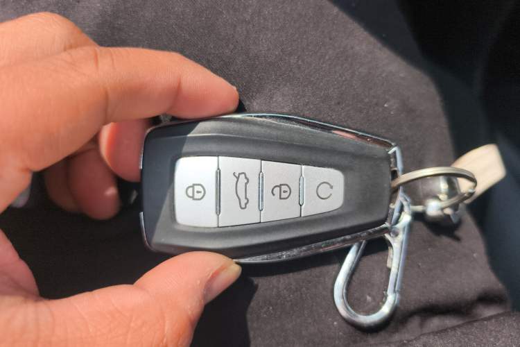 Used Geely Auto Monjaro L 2024 2.0TD High-Power Automatic Two-Wheel Drive Skyline Edition
