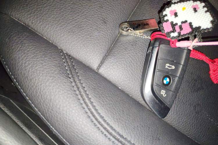 Used BMW X1 2018 sDrive20Li Leading Model Vehicle Key