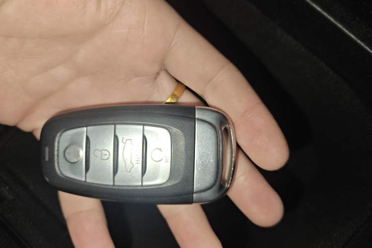 Used Hongqi E-HS9 2022 660 km Range Flagway Edition Six Seats