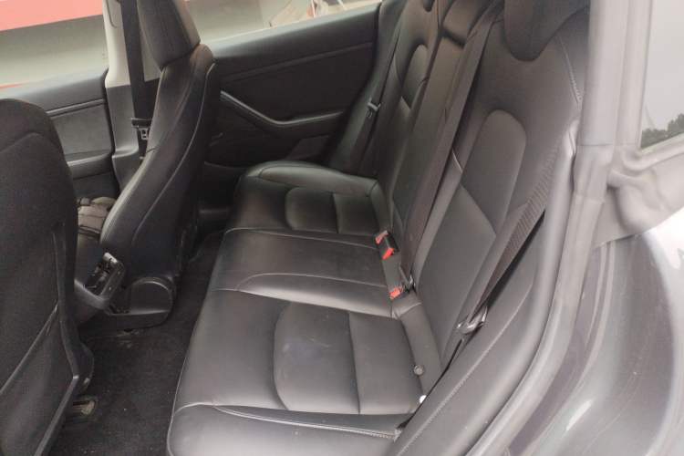 Used Tesla Model 3 2020 Standard Range Rear-Wheel Drive Upgraded Version
