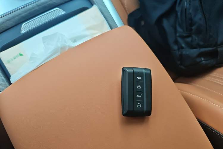 Used Tank 500 New Energy 2025 Hi4-Z
