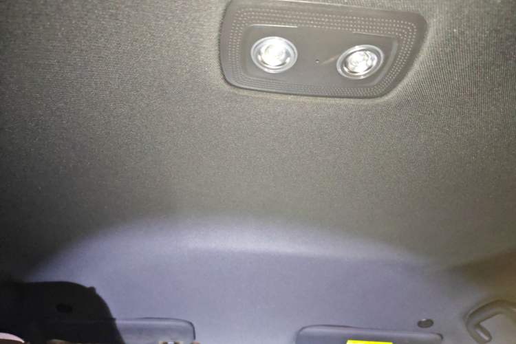 Used BYD Dolphin 2023 420 km Free Version Headliner