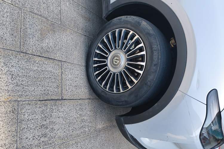 Used Leapmotor C11 2023 Pure Electric 500 Comfort Edition
