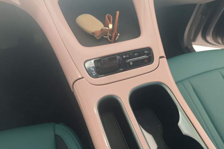 Used Geely Galaxy Geome 2025 310km Youth Edition