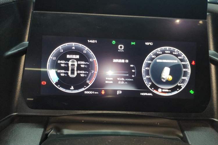 Used Haval DARGO 2024 2.0T DCT Chinese Rural Dog Edition
