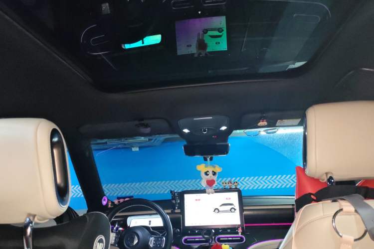 Used smart #1 2022 Premium Edition Headliner